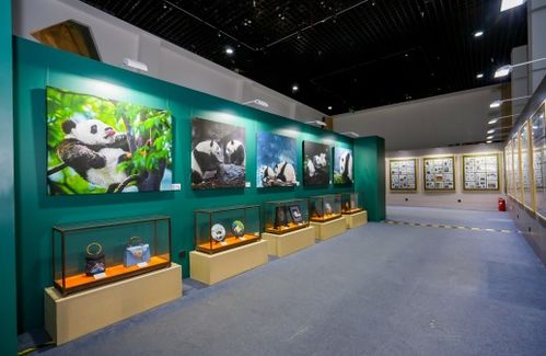 藝術(shù)聯(lián)結(jié)友誼，雙寶共慶甲子——慶祝中法建交60周年大熊貓金絲猴雙寶文化藝術(shù)展在京啟幕